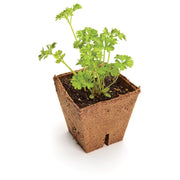 Jiffy Professional Square Peat Pots - 8cm x 8cm - Pack of 10 Pots