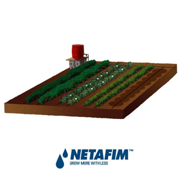 Drip Irrigation Kit Netafim 100m2 coverage Seeds For Africa
