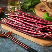 Chinese / Thai Red Yard Long / Noodle Beans - Heirloom Vegetable - Vigna sesquipedalis - 5 Seeds