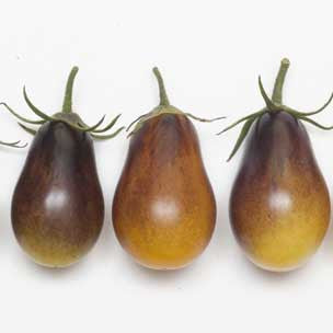 Indigo Pear Drops Cocktail Tomato - Lycopersicon Esculentum - Health Properties / NON GMO