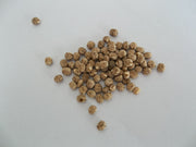 Pigeon Peas - Sprouting Seeds