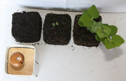 Plunter - Seedling Soil Block Maker
