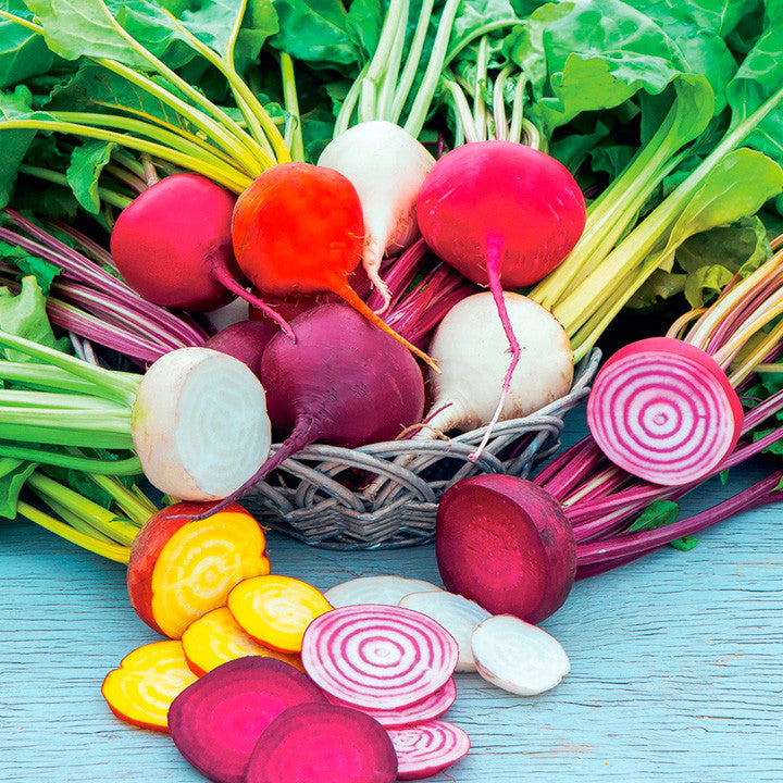 Rainbow Mix Beetroot - Bulk Vegetable Seeds - 20 grams