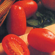 Rio Fuego Tomato - Lycopersicon esculentum - 50 Seeds