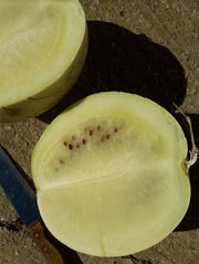 Makatan Melon - ORGANIC - Heirloom Vegetable - 5 Seeds