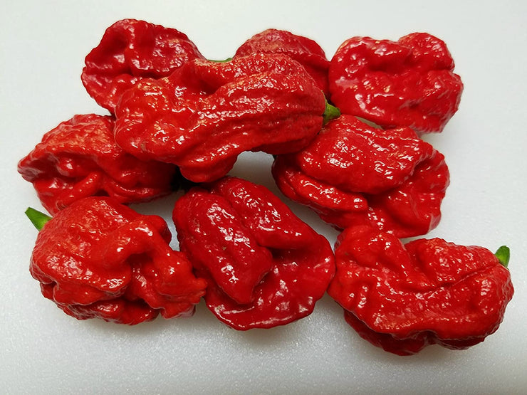 Bhutlah Scorpion Pepper - Capsicum Chinense - Extreme Chilli Pepper - 5 Seeds