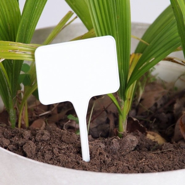 White plastic T plant marker