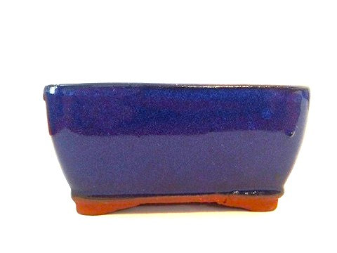 12 x 8.5 x 5cm Extra Height Glazed Bonsai Container - Dark Blue