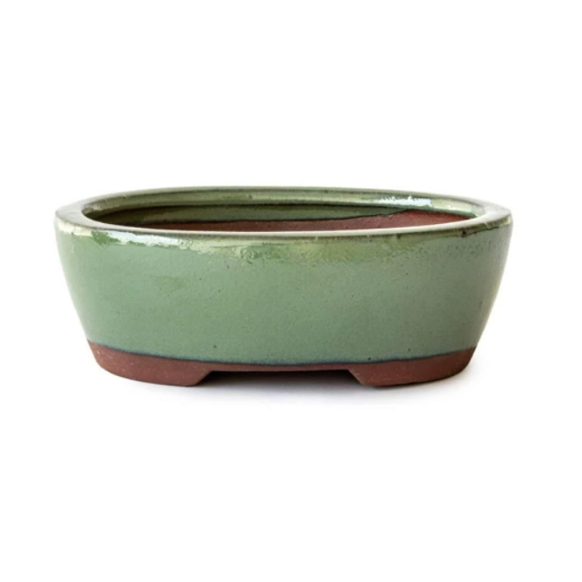 15 x 12 x 5cm Glazed Bonsai Container - Green