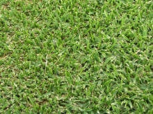 Shade grass top