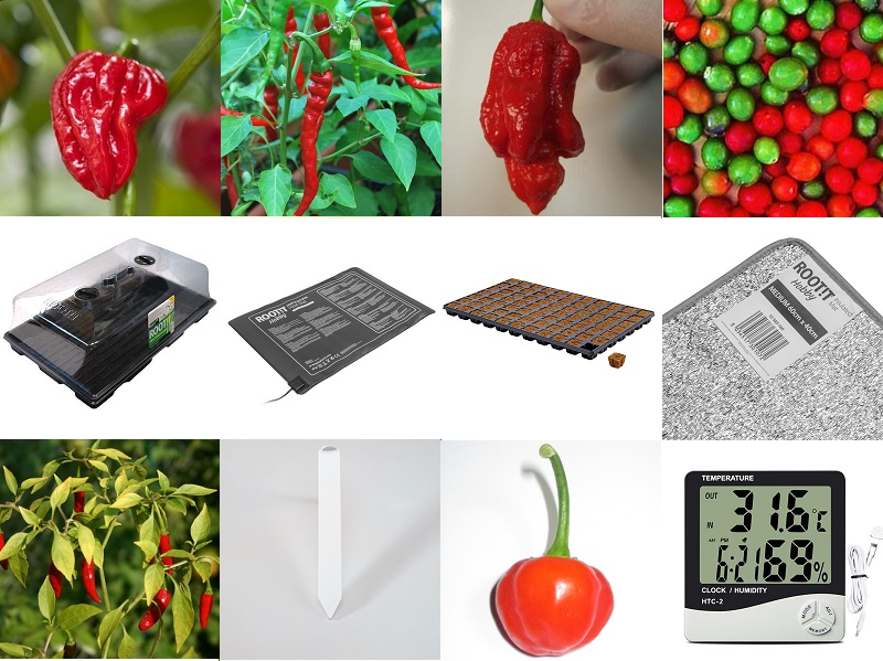 chilli grow tent Grow Tent Combo - 120 | Hydroponic