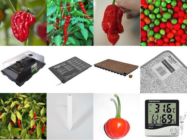 Chilli / Hot Pepper Seed Germination Kit - Professional Kit including a variety of exciting chilli seeds!