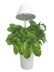 Urban Nano - Indoor Hydroponic Growing System Kit