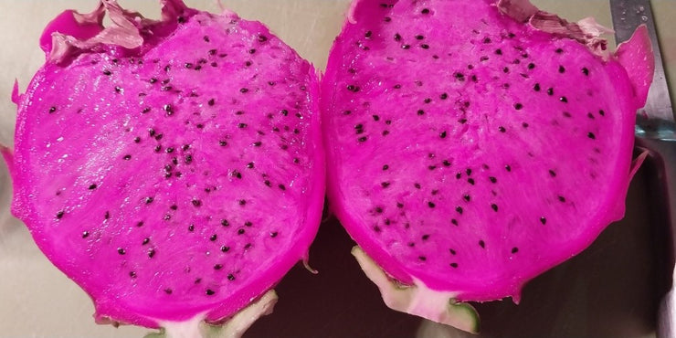 Dragon Fruit / Pitaya / American Beauty / Bien Hoa Red – Hylocereus / Guatemalensis hybrid - 10 seeds