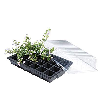 Garland Standard 24 Cell Seedling Propagator