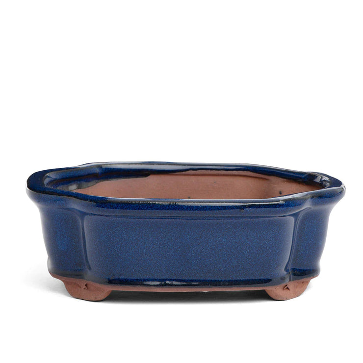 15 x 11 x 4.5cm Glazed Bonsai Container - Dark Blue