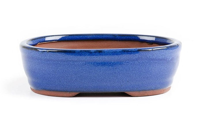 15 x 12 x 5cm - Glazed Bonsai Container - Dark Blue