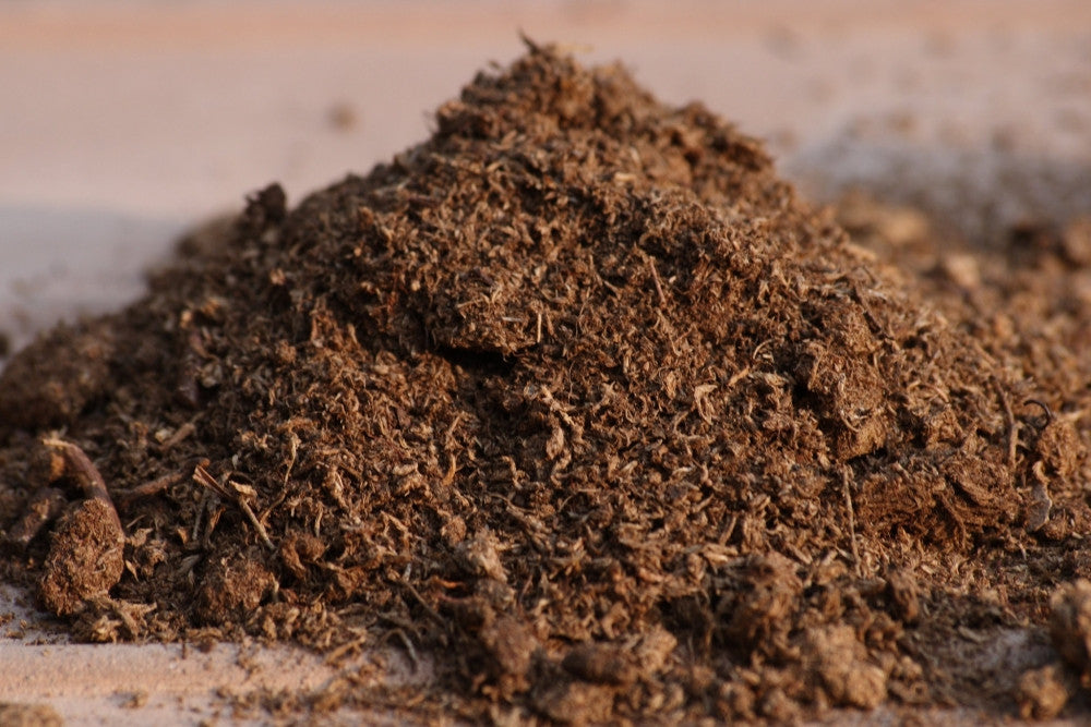 Sphagnum Peat Moss Hydroponic Seeds For Africa
