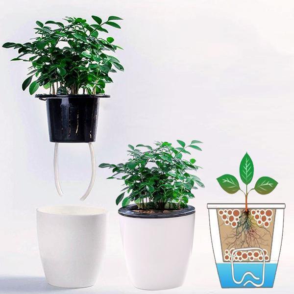 Self Watering Urban Hydroponic Pots