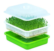 Seed Sprouting Tray
