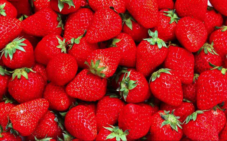 Red Strawberry - Fruit - Fragaria x annanasa - 25 Seeds